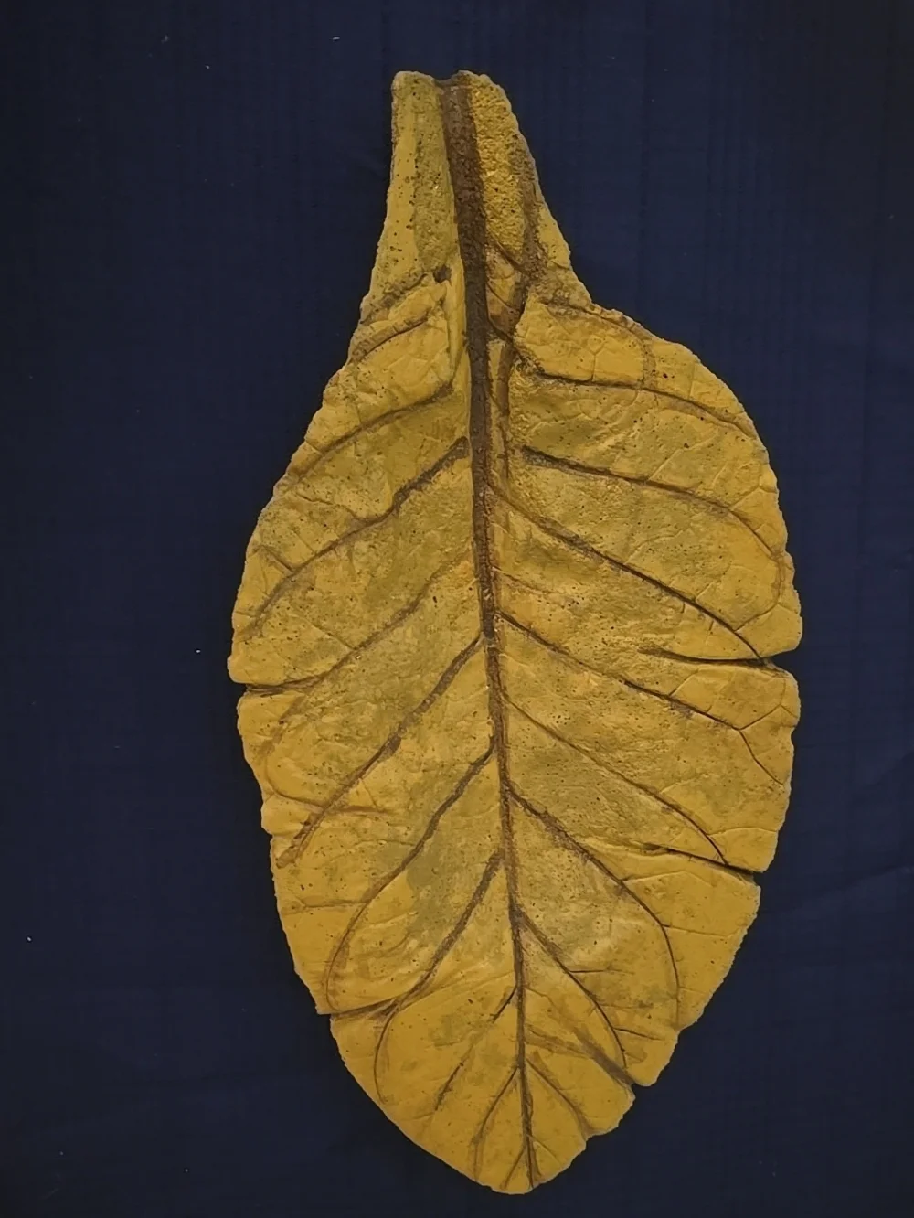 Cast Tobacco Leaf Table Top Tray